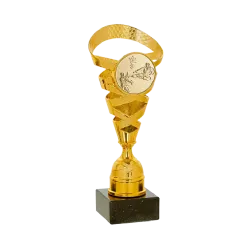 Copa Bloomington 24cm 