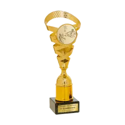 Copa Bloomington ejemplo