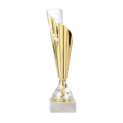 Copa Bossiercity 