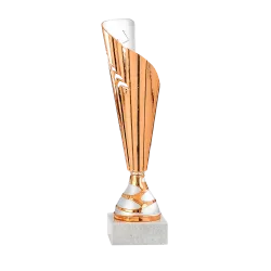 Copa Bossiercity 