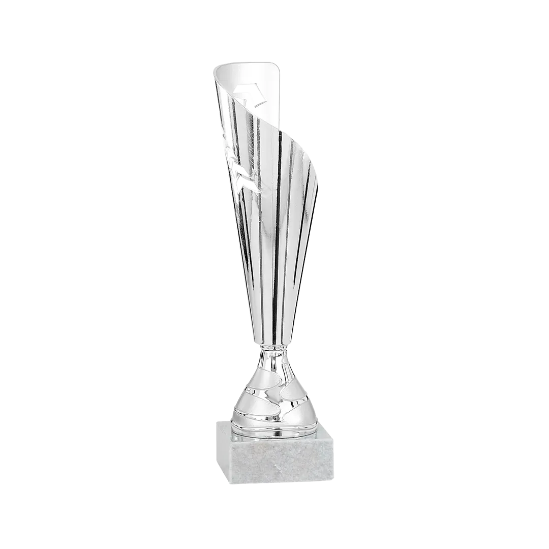 Copa Bossiercity 