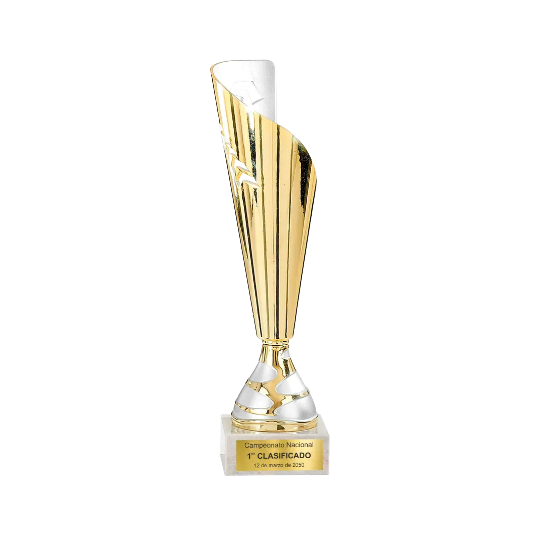 Copa Bossiercity ejemplo