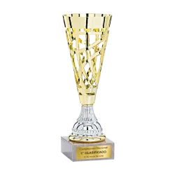 Copa Boulder ejemplo