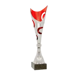 Copa Buffalo 