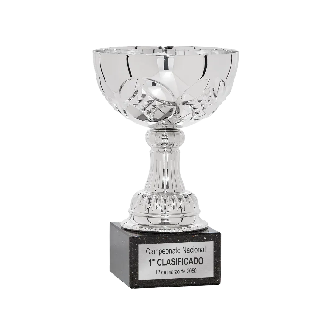 Copa Burlington ejemplo
