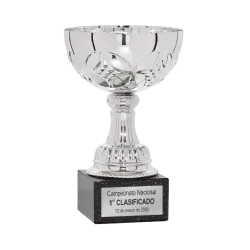 Copa Burlington ejemplo