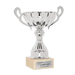 Copa Capecoral ejemplo
