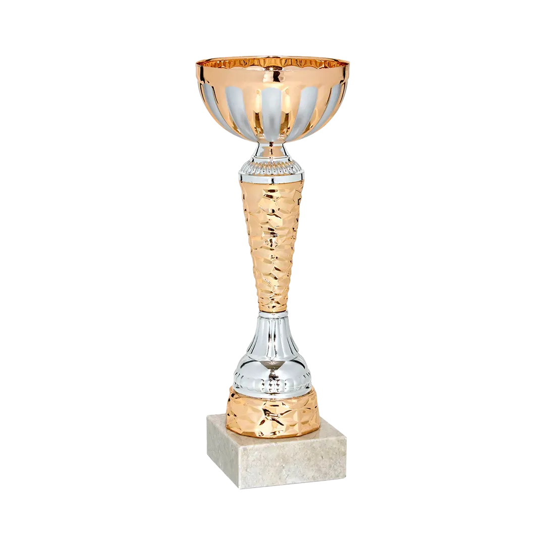 Copa Carsoncity 
