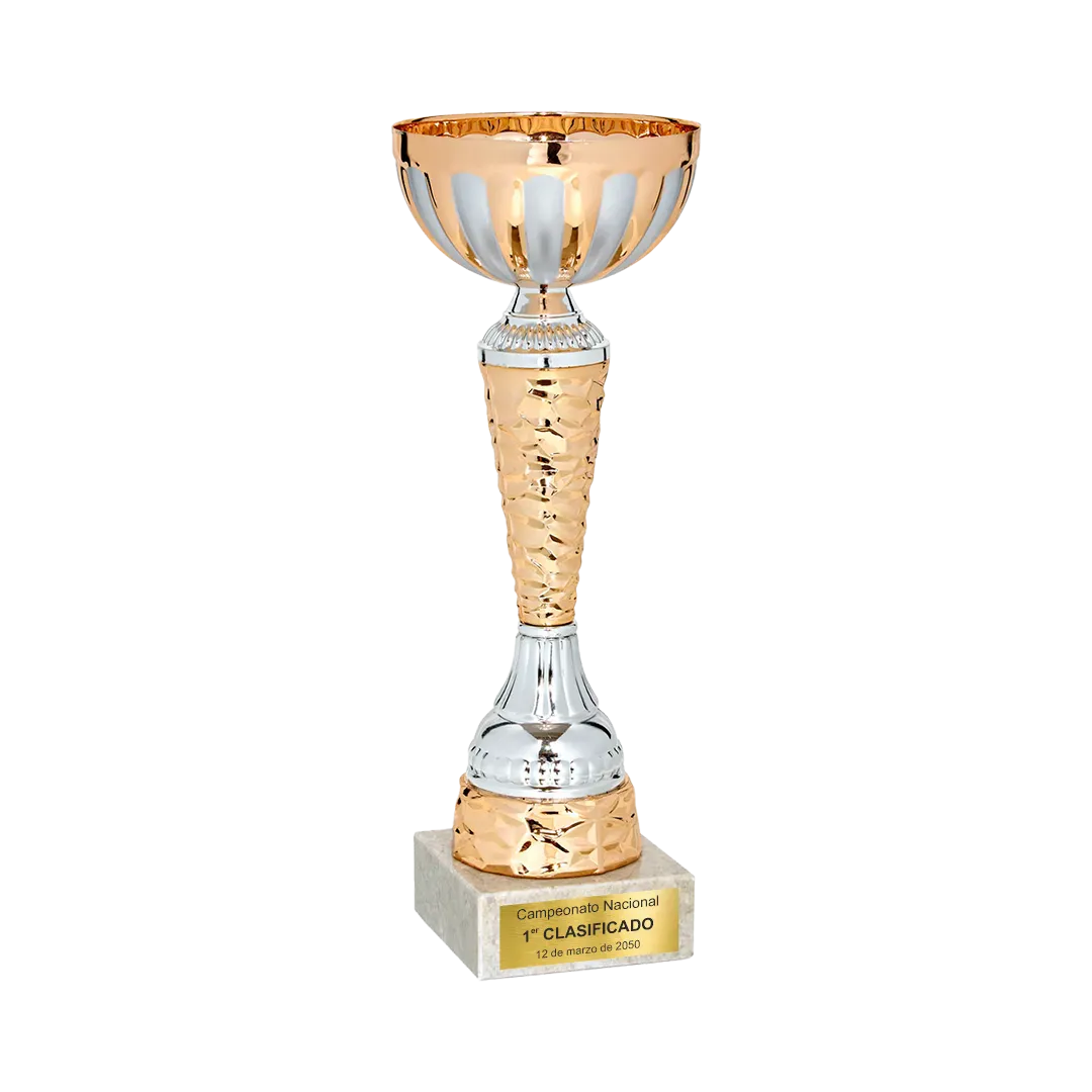 Copa Carsoncity ejemplo