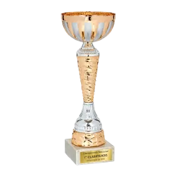 Copa Carsoncity ejemplo