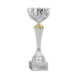 Copa Cary ejemplo