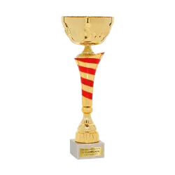 Copa Casagrande ejemplo
