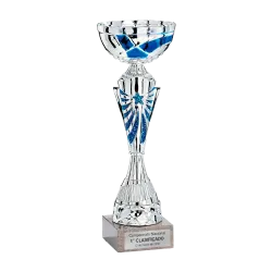 Copa Castlerock ejemplo