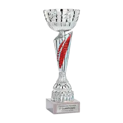 Copa Ceres ejemplo