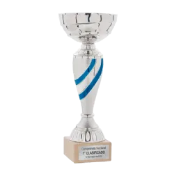 Copa Chico ejemplo