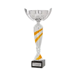 Copa Clevelandheights ejemplo