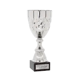 Copa Conroe ejemplo