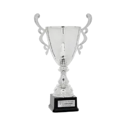 Copa Dalycity ejemplo