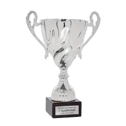 Copa Davis ejemplo