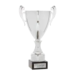 Copa Delano ejemplo