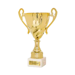 Copa Deltona ejemplo