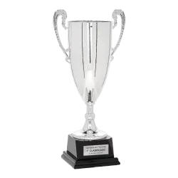 Copa Desplaines ejemplo