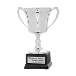 Copa Doral ejemplo