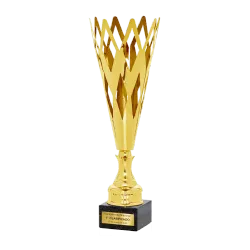 Copa Abilene ejemplo