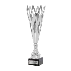 Copa Alameda ejemplo