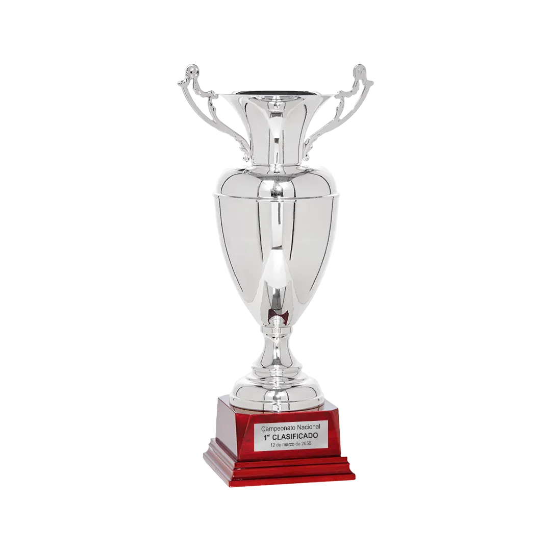 Copa Anderson ejemplo