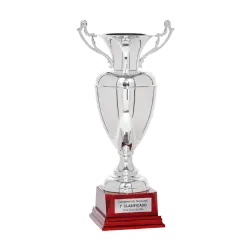 Copa Anderson ejemplo