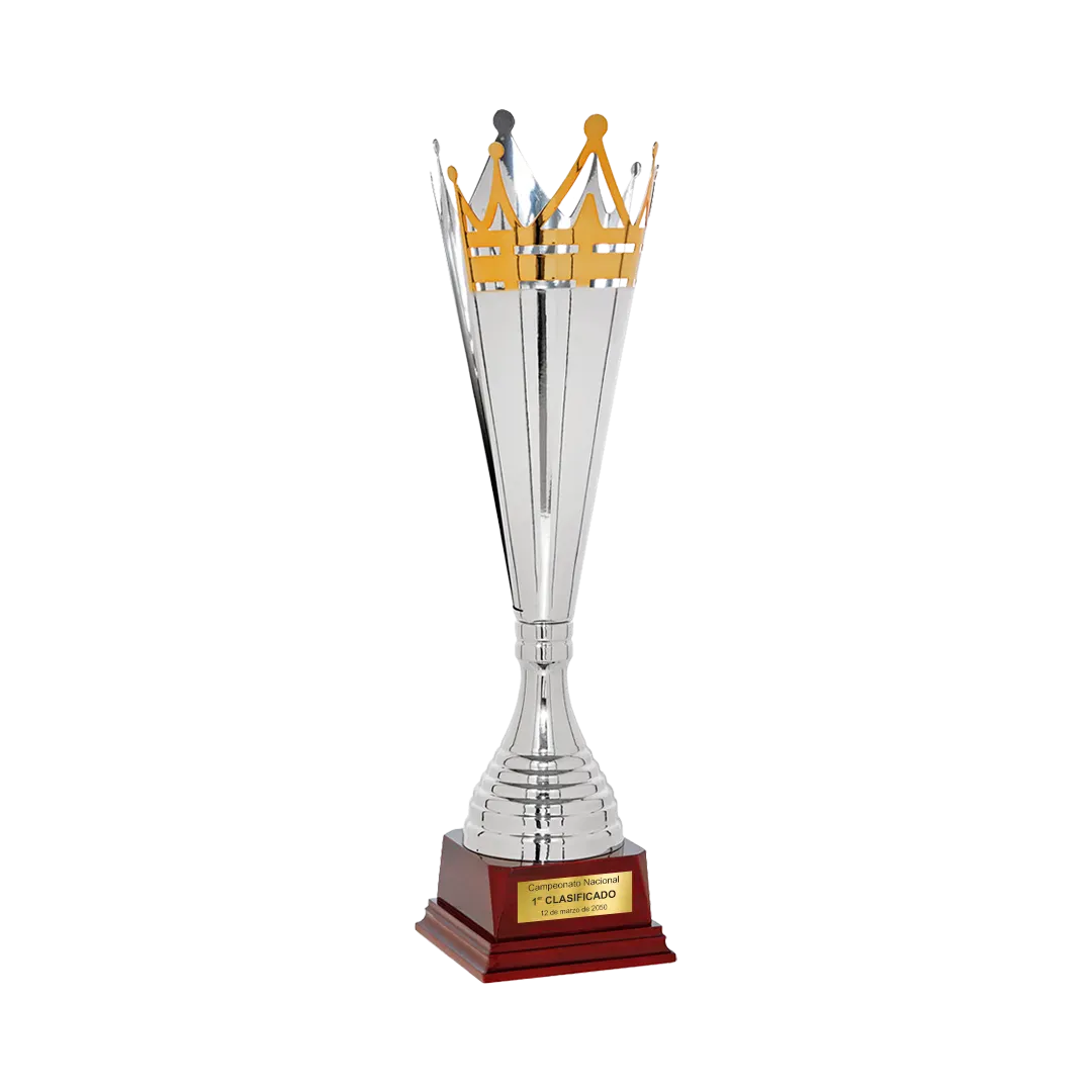 Copa Annarbor ejemplo