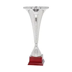 Copa Appleton 
