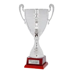 Copa Arlington ejemplo