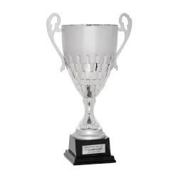 Copa Arvada ejemplo