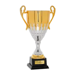 Copa Asheville ejemplo