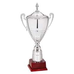 Copa Auburn 