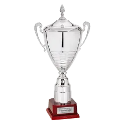 Copa Auburn ejemplo