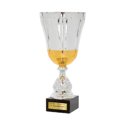 Copa Councilbluffs ejemplo