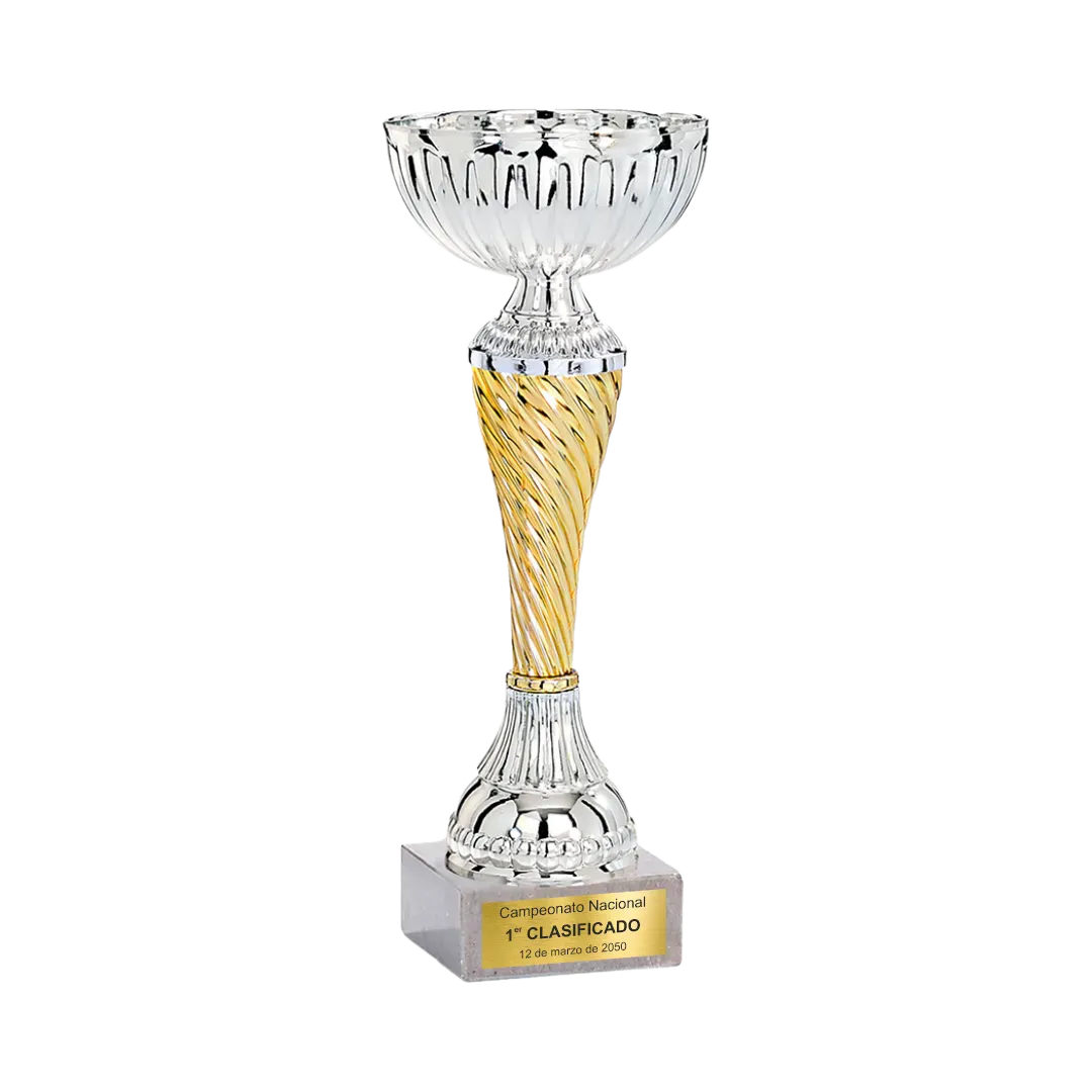 Copa trofeo Fukuoka