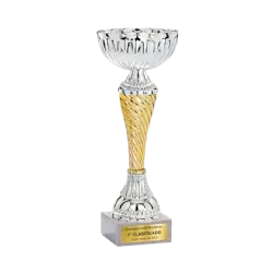 Copa trofeo Fukuoka