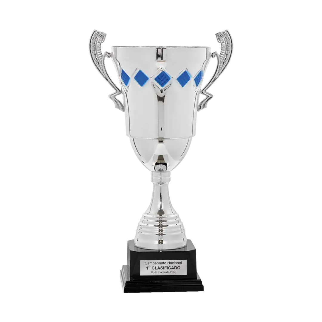 Copa trofeo Hyderabad en Trofeos LeverySport