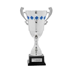 Copa trofeo Hyderabad ejemplo