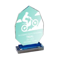 Trofeos de Cristal Ballena ejemplo