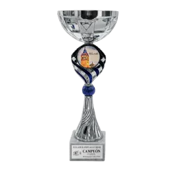 Trofeo Copa Ningbo ejemplo