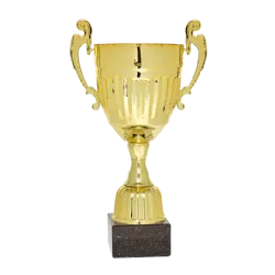 Ref. 3 - Copa trofeo Taiyuan 39cmx160mm