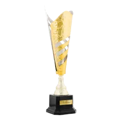 Trofeo Lowell ejemplo