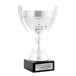 Trofeo Copa Riorancho ejemplo
