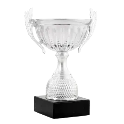 Trofeo Copa Bellingham 
