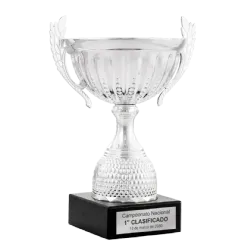 Trofeo Copa Bellingham ejemplo